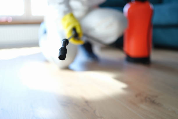 Best Comprehensive Air Testing for Mold Contaminants  in Mount Vernon, AL